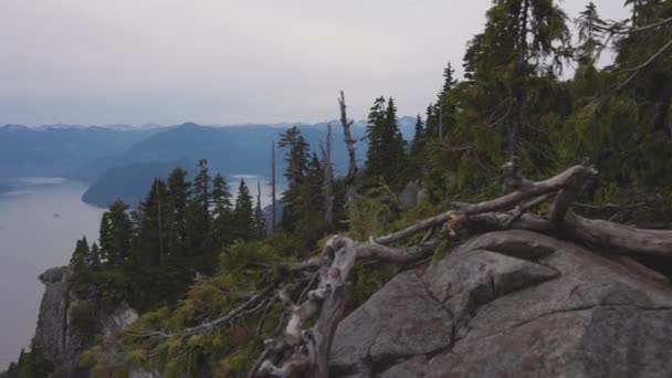 Vista del paisaje montañoso canadiense — Vídeos de Stock