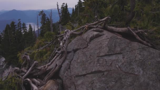 Vista del paisaje montañoso canadiense — Vídeos de Stock