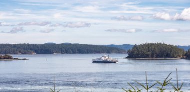 BC Feribot Swartz Körfezi 'ndeki Terminale gidiyor.