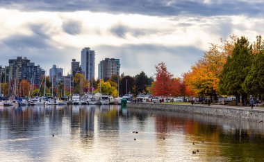 Sonbahar sezonu boyunca Stanley Park 'ta deniz manzarası.