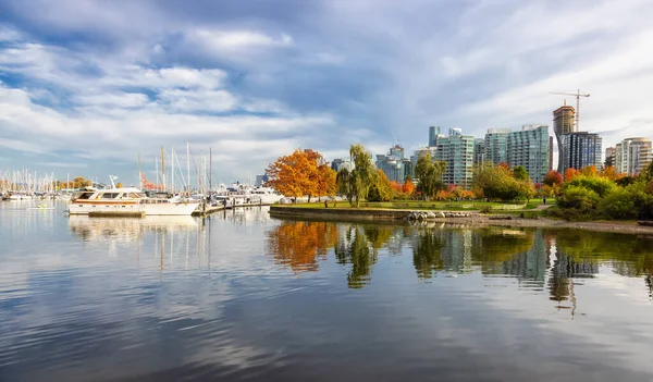 Stanley Park in Coal Harbour, Downtown Vancouver, British Columbia, Canada — Stock Photo, Image