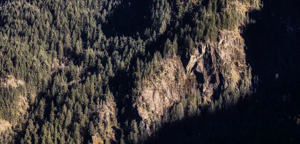 Groene Bomen op een rotsachtige berg klif in Canadese Landschap. — Stockfoto
