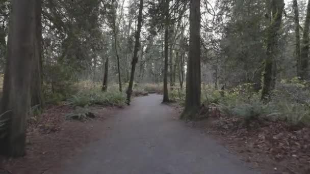 Langley 'deki Derby Bölgesel Parkı, Büyük Vancouver, British Columbia, Kanada — Stok video