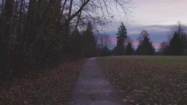 Camino en un parque, vacío sin gente. Moody Nublado Amanecer. — Vídeos de Stock
