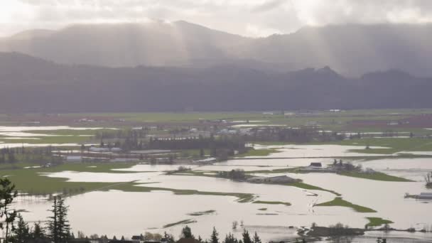 Verheerende Flut Naturkatastrophe in der Stadt und auf Ackerland nach Sturm — Stockvideo