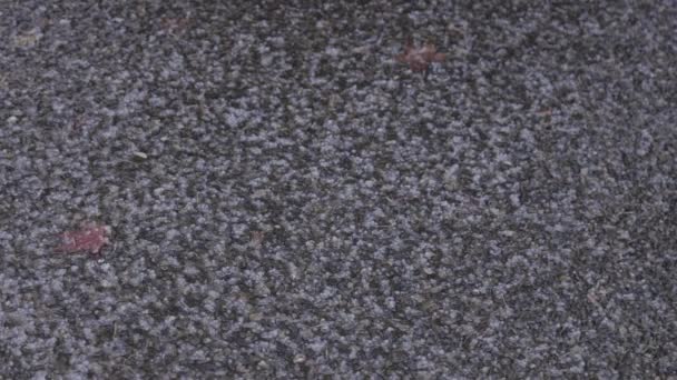Lluvia y granizo Downpoor en un suelo rocoso en cámara lenta — Vídeos de Stock