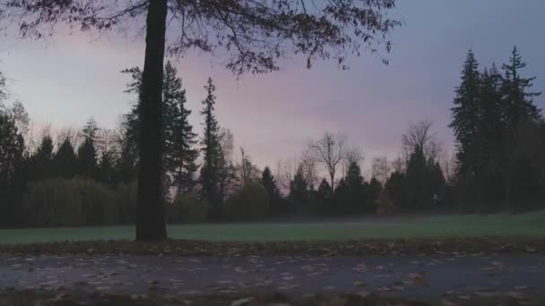 Ścieżka w parku, pusta bez ludzi. Moody Chmury Wschód słońca. — Wideo stockowe