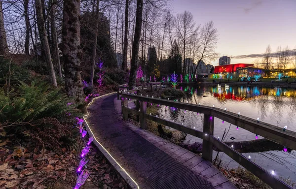 Sendero en un parque alrededor del lago Lafarge con luces de Navidad. — Foto de Stock