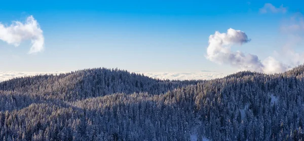 Vue Aérienne Panoramique De La Montagne Canadienne Couverte De Neige — Photo