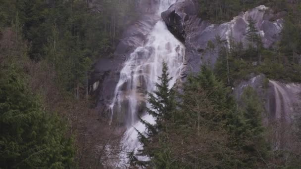 Θέα του Shannon Falls και το νερό σπεύδουν κάτω από το φαράγγι — Αρχείο Βίντεο