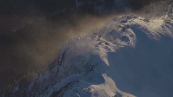Aerial view from airplane of Fresh Snow covered Canadian Mountain Landscape — Stockvideo
