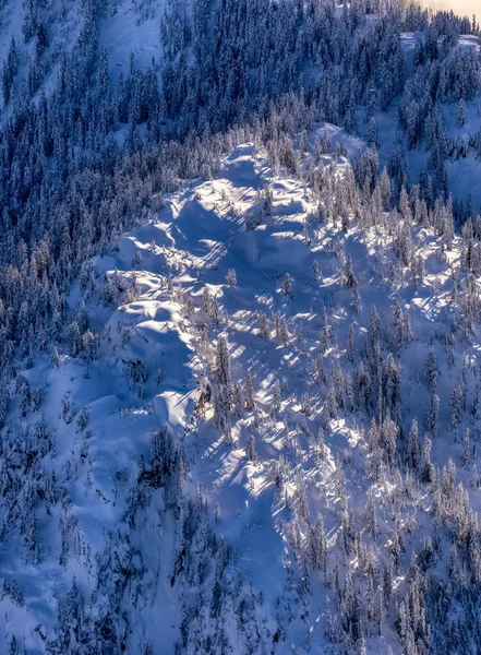 Aerial View of a Mountain Peak with Trees covered in Snow. — Stock Photo, Image