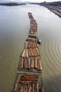 Logs pulled by a tugboat on Fraser River. clipart