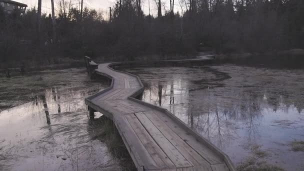 View of a Wooden Path across a swamp in Shoreline Trail, Port Moody, Greater Vancouver — 비디오
