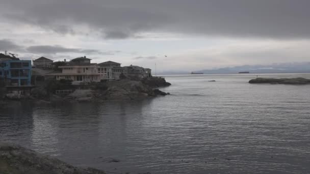 Vista panorámica de la costa rocosa en la costa oeste del océano Pacífico — Vídeos de Stock