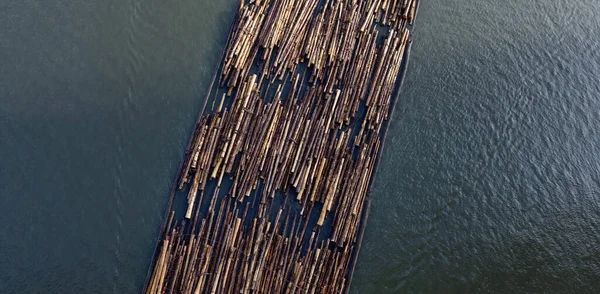 Logs getrokken door een sleepboot op Fraser River. — Stockfoto