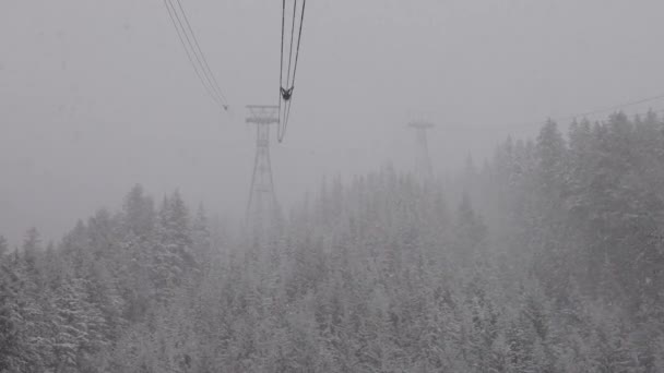 Torre de góndola sobre árboles perennes cubiertos de nieve blanca durante un día de temporada de invierno nevado. — Vídeo de stock