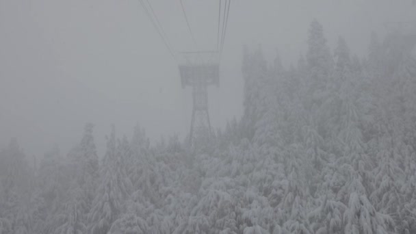 Gondelturm über immergrünen Bäumen, die an einem verschneiten Wintertag mit weißem Schnee bedeckt sind. — Stockvideo