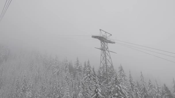 Torre della gondola sugli alberi sempreverdi ricoperti di neve bianca durante una giornata invernale innevata. — Video Stock