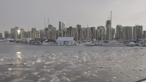 Boats in Marina, Coal Harbour, Urban City Skyline and Ice on water during Winter Season. Seawall in Stanley Park. — Stock Video