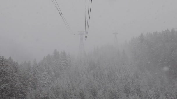 Wieża gondolowa nad Evergreen Trees pokryta białym śniegiem w śnieżny dzień sezonu zimowego. — Wideo stockowe
