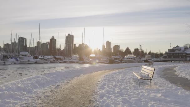 Seawall in Stanley Park, Barche in Marina, Coal Harbour, Urban City Skyline — Video Stock