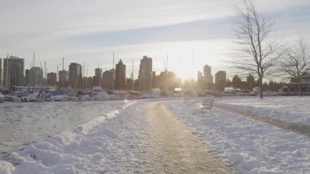 Seawall in Stanley Park, Barche in Marina, Coal Harbour, Urban City Skyline — Video Stock