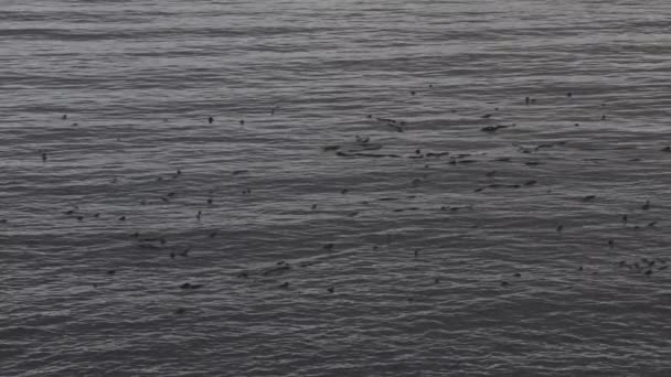 Vista lenta do movimento no Oceano Pacífico durante o pôr-do-sol nublado. — Vídeo de Stock