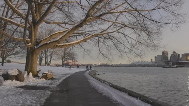 冬のシーズンには、コールハーバー、アーバンシティスカイライン、氷の上。スタンレー・パークの防潮堤. — ストック動画