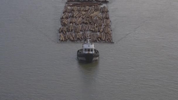 Baumstämme von einem Schlepper auf dem Fraser River gezogen. — Stockvideo