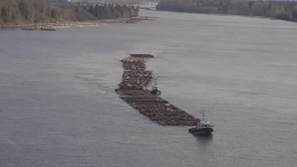 Logs getrokken door een sleepboot op Fraser River. — Stockvideo