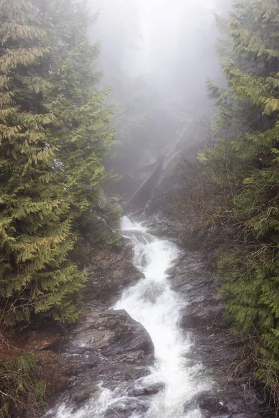 Vatten bäck i kanadensisk natur med gröna träd under dimmiga vinterdag. — Stockfoto