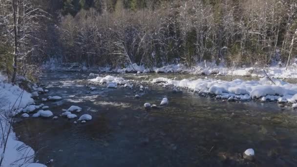 Fiume nella natura canadese, Alberi nella foresta, Neve invernale, Cielo soleggiato — Video Stock