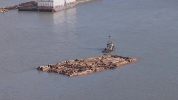 Logs trukket af en slæbebåd på Fraser River. – Stock-video