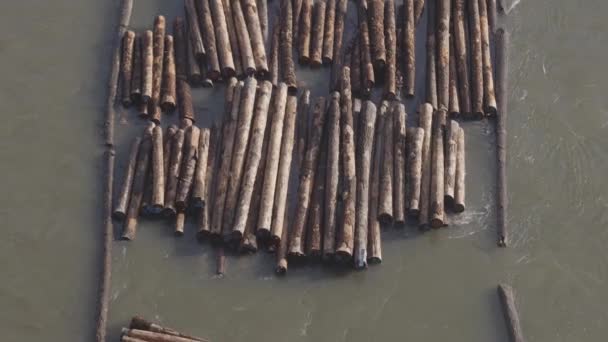 弗雷泽河上一艘拖船拖曳的圆木. — 图库视频影像
