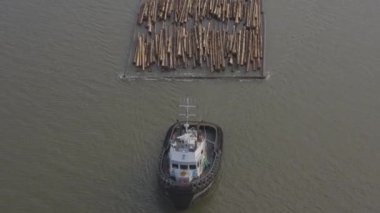 Fraser Nehri 'nde bir römorkör tarafından çekilen kütükler..