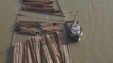 Fraser Nehri 'nde bir römorkör tarafından çekilen kütükler..