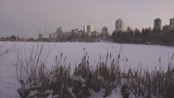 Vista de la Laguna Perdida en el famoso Stanley Park en una ciudad moderna con edificios en el horizonte — Vídeo de stock