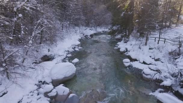 加拿大自然的河流，森林中的树木，冬季的雪，阳光普照的天空 — 图库视频影像