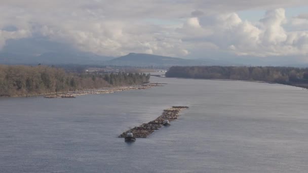 Logs getrokken door een sleepboot op Fraser River. — Stockvideo