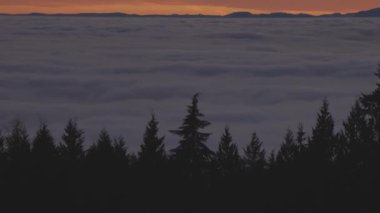Kanada Doğa Manzarası Bulutların üstündeki bir dağda Evergreen Ağaçları.