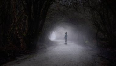 Yeşil ağaçlarla Kanada yağmur ormanlarında yol. Ayakta Duran Kadın Macera Birleşimi