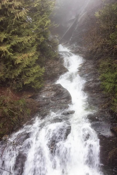 Vatten bäck i kanadensisk natur med gröna träd under dimmiga vinterdag. — Stockfoto
