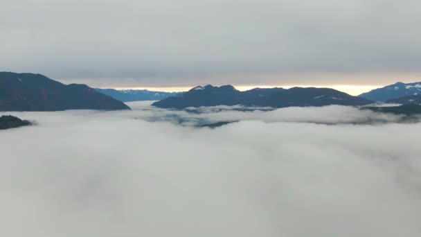Widok z góry Kanadyjskiej Krajobraz pokryty mgłą nad jeziorem Harrison — Wideo stockowe