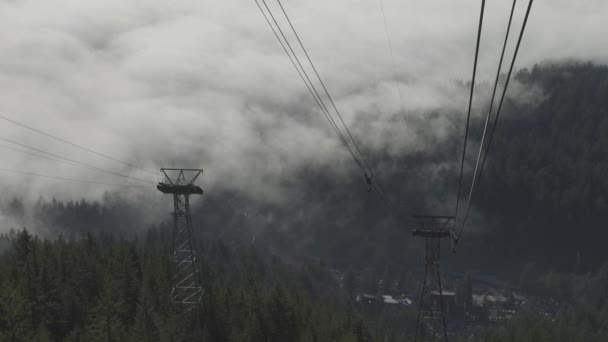 Aerial View of Gondola Tower over Evergreen Trees covered during winter season day — Stock Video