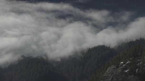 Vista aérea de la naturaleza canadiense durante el día de invierno soleado y nublado — Vídeo de stock