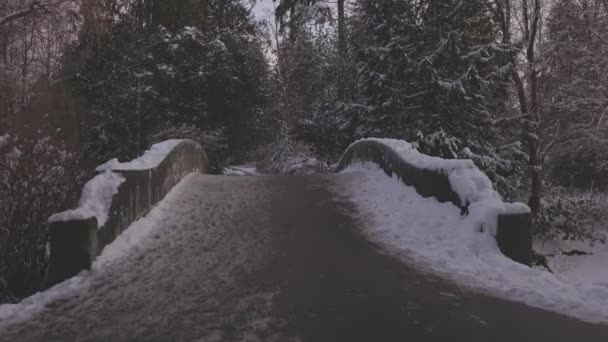 Vista del Stanley Park en una ciudad moderna — Vídeo de stock