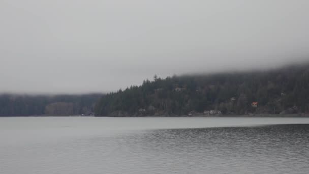 Harrison Lake durante el atardecer de invierno nublado y nublado. — Vídeo de stock