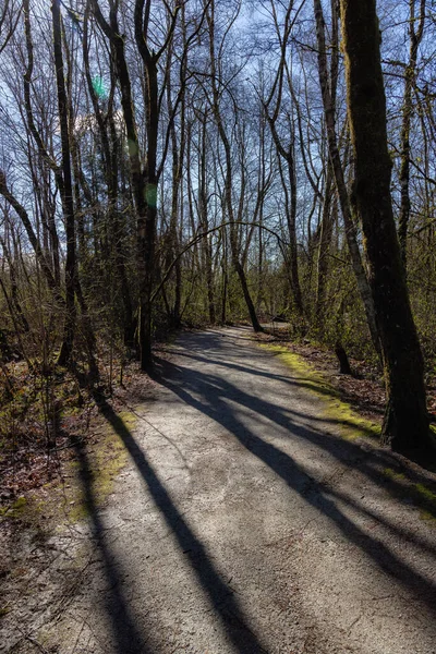 Scenic Trail i en stadspark med gröna träd under solig vinterdag — Stockfoto