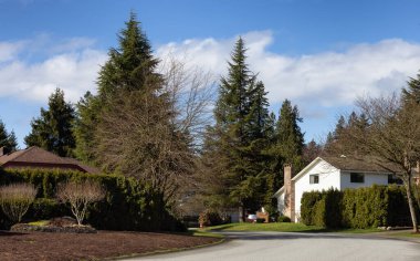 Modern Şehir Banliyölerinde, Mahalle Mahallesi.